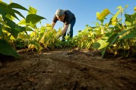Empresas | El sector agrícola de la Región exhibe su poderío y concentra 1 de cada 10 trabajadores del campo de España