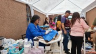 Colabora GIDA en esterilización permanente de perros y gatos