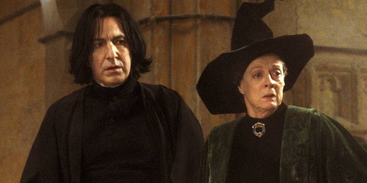 Michelle Gomez Breaks Silence on Harry Potter Casting After LGBTQ Backlash