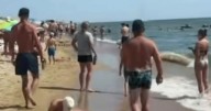 Three tourists dead on Ukraine beach as swimmers set off sea mines