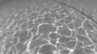Child in water incident at Worcester, Mass. home Friday