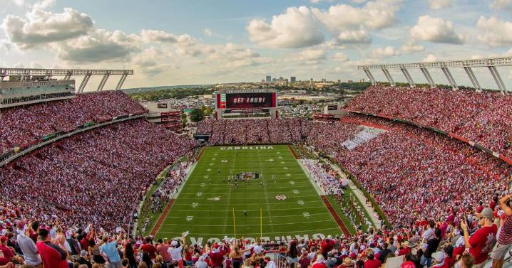 Gamecocks adding corporate logos to football field