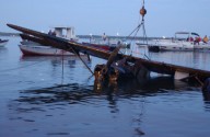 Two decades ago, a local legend rose from the depths of Minnesota lake