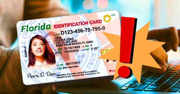 Alerta en Florida: todos los que tengan la nueva licencia Real ID deberán hacer este trámite para no perder su uso más importante