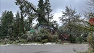 Portland couple's home insurance coverage dropped after storm damage, burglary
