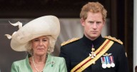 'I lived with Prince Harry for years - his brutal claim about Camilla doesn't add up'