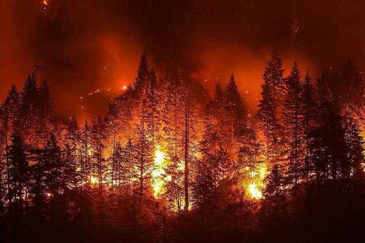 Incendios en Italia afectan un 60 por ciento más de hectáreas en 2025