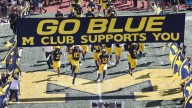 truth of Michigan sign stealing lies at bottom of murky pond