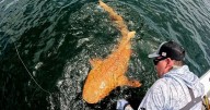 Fisherman catches 'Donald Trump' shark with freak mutation that makes it look like him