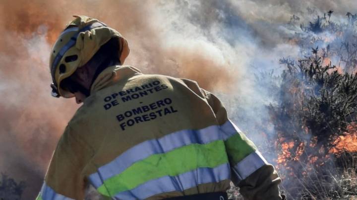 Cómo actuar para prevenir incendios forestales: responsabilidad ciudadana ante una emergencia ambiental