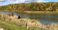 Country park issues warning over toxic levels of algae in lake