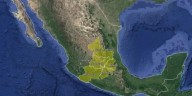 Protección Civil reporta por robo de cilindros de gas cloro en Querétaro, alertan por alto nivel de riesgo