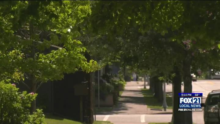 Minnesota DNR Now Accepting Urban and Community Forest Grant Applications