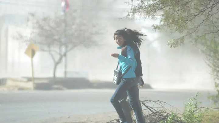 Viento Zonda en Mendoza: ¿pueden suspenderse las clases en la provincia?