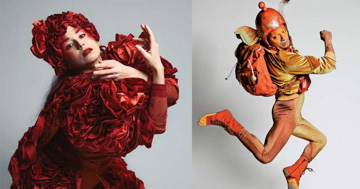 El pulpo fantasma, espectáculo coreográfico celebra la vida marina