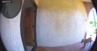 La Verne family shocked when mountain lion wanders through front door of their home
