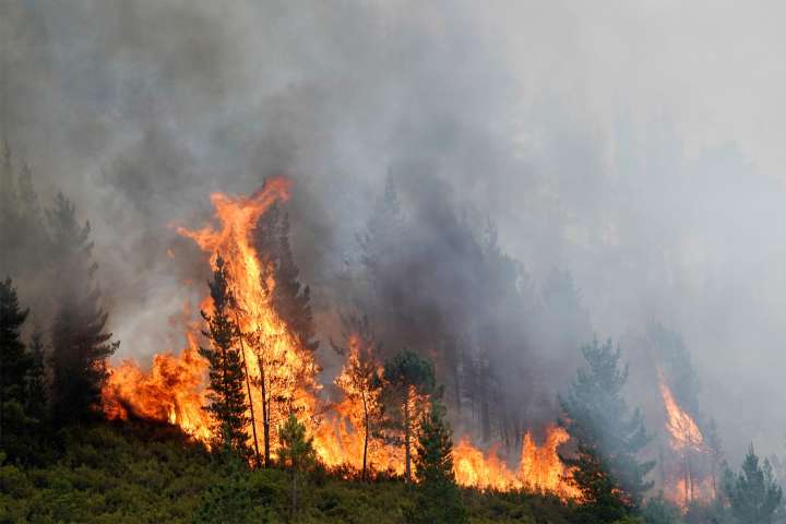 Los incendios baten récords en Europa, con la península ibérica como su principal víctima