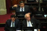 Senado: la oposición avanza con un proyecto que modifica el régimen legal de los decretos