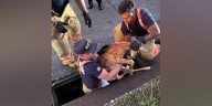 Firefighters rescue fawn from storm drain in Oakley