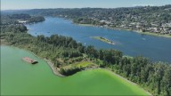 Health advisory lifted after Willamette River, Ross Island toxic algae bloom