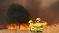Interior declara la fase de preemergencia por los incendios que asolan la península de Zamora hasta Tarifa