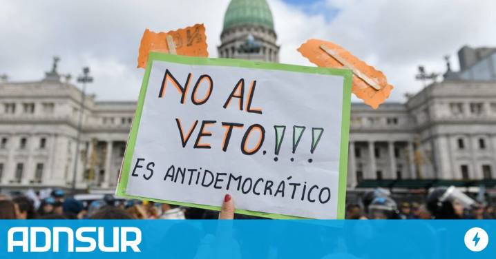 Revés para Milei: la Justicia declaró nulo el veto a la ley de emergencia en discapacidad