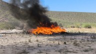 Destruyen casi tres toneladas de estupefacientes en Baja California Sur