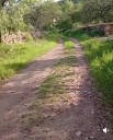 Denuncian buscadoras retraso de la Fiscalía en hallazgo hecho en Jerez