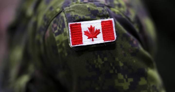 5 Canadian military members suspended over video showing Nazi salute