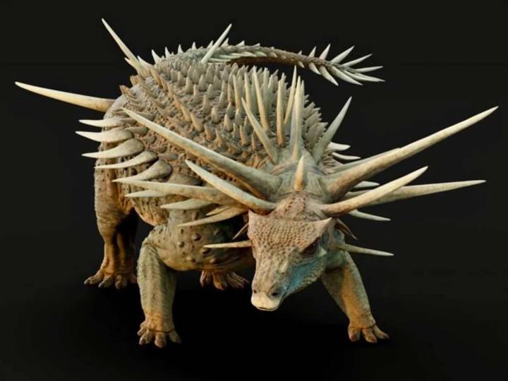 Punk ankylosaurus discovered