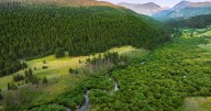 Public comment sought on Trump's plan to scrap 'roadless rule' on National Forest lands