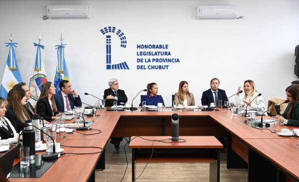 Legislatura: Primera reunión informativa sobre el proyecto que regula las nuevas tecnológicas para cibercriminalidad