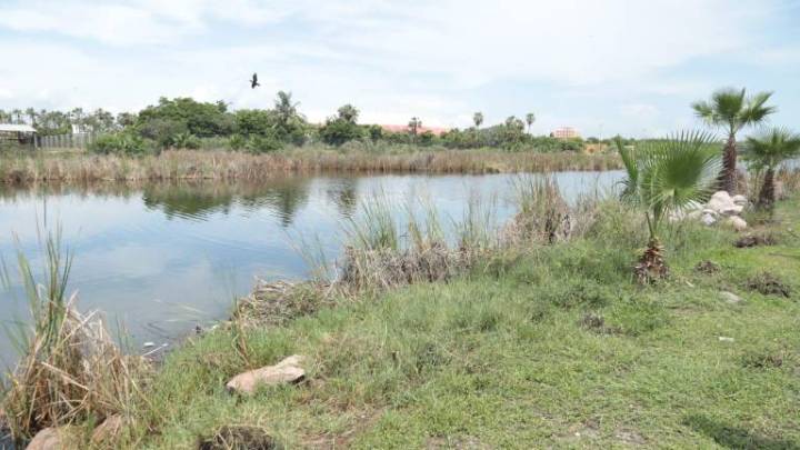 Abandono de la Laguna del Camarón pone en riesgo a especies: Guillermo Zerecero