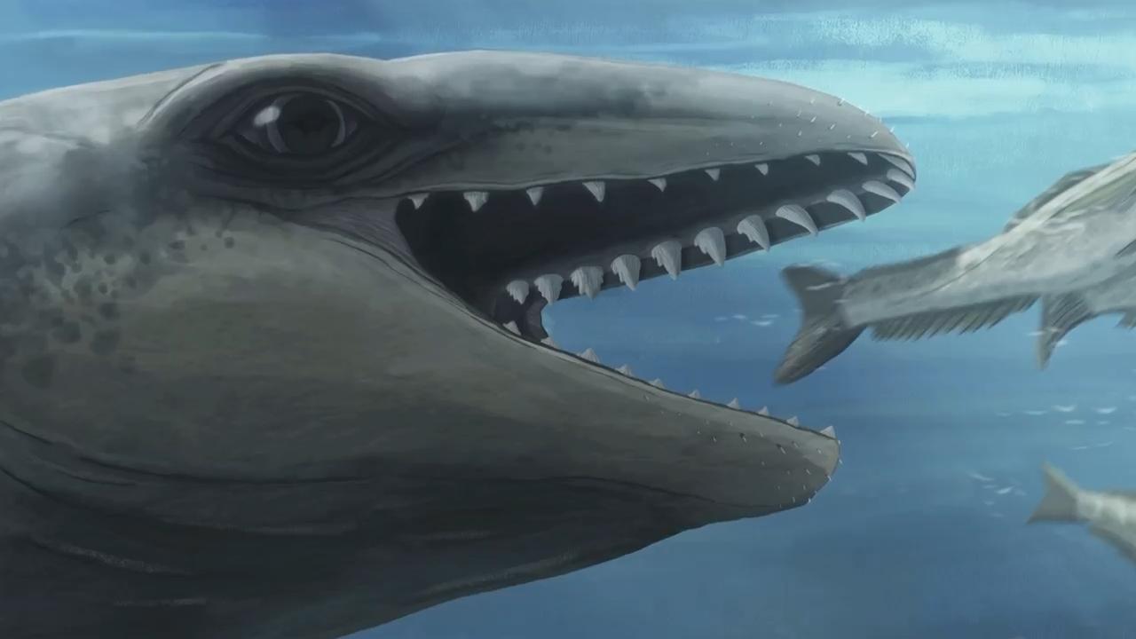 This prehistoric whale had razor teeth, bulging eyes and a face only evolution could love