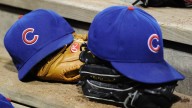 Cubs prospect Brandon Birdsell to have season