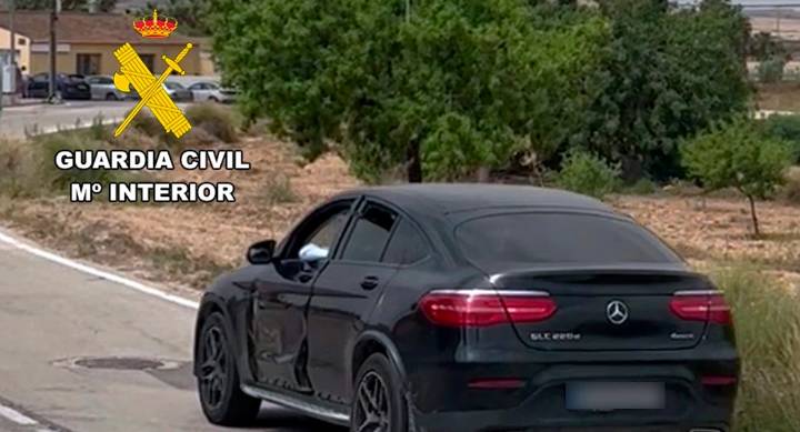 Investigan a un hombre por abandonar a un gato y atropellarlo hasta su muerte