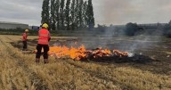 Firefighters tackle ‘deliberate’ open blaze in Cambridgeshire field