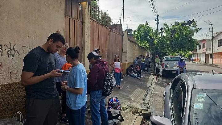 Alertan sobre ayuno, tras muerte de gatito en esterilización