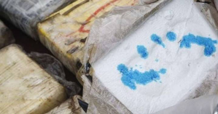 Guyana: la cocaína llega “desde Venezuela” y va a Europa y África