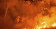 Photos of crews battling the wildfires in Northern California wine country