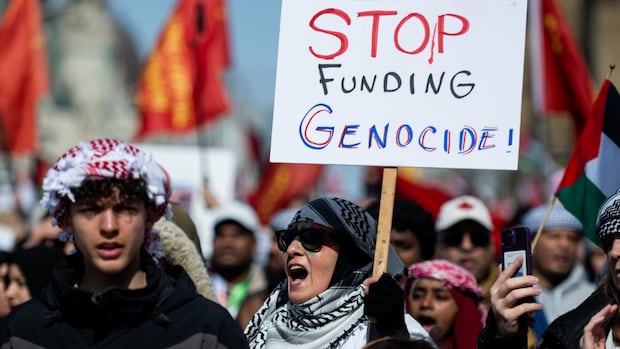 Anti-Palestinian racism report calls for more oversight of education, policing and politics