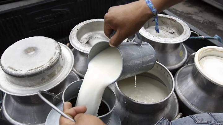 Gestionan planta lechera con Federación en la región cholulteca