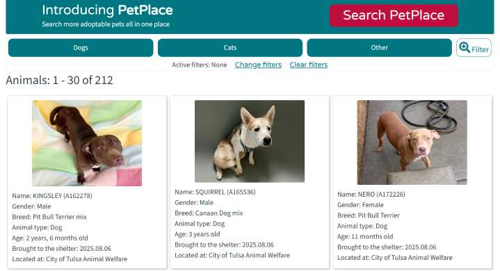 Tulsa aims to boost adoptions with Clear the Shelters