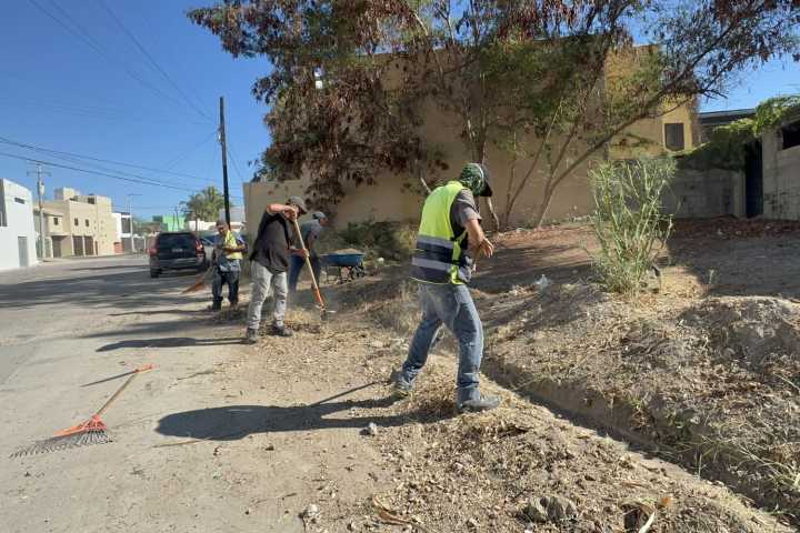 Recolectaron 4.5 toneladas de residuos en el fraccionamiento Campestre, en La Paz 