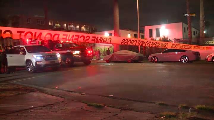 Gunman kills woman, wounds man in Harvard Heights area of LA