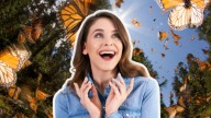 ¿Cuándo empieza la migración de mariposa monarca en NL?