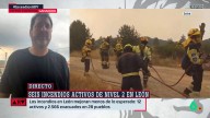Un ganadero de León pide que "les dejen hacer": "No se puede, sin pisar el monte, poner normas"