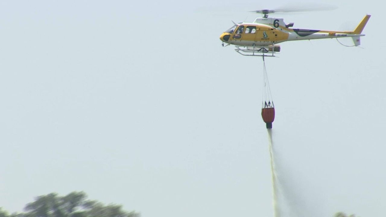 Se reactiva el incendio forestal de Aldea del Cano More