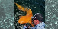 Tiburón naranja sorprende a pescadores e investigadores