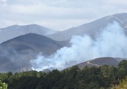La ola de incendios toca a su fin tras cuatro muertes y 325.000 hectáreas calcinadas